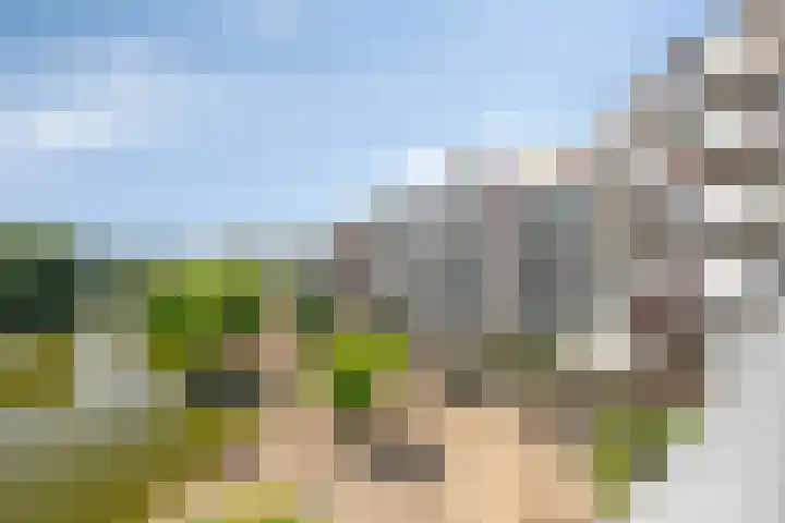 Henry Moorepassage 200 Capelle aan den IJssel thumbnail 22