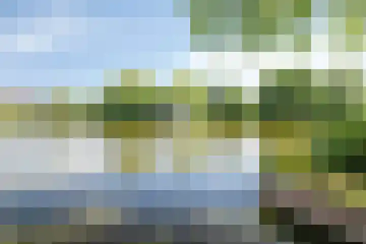 Henry Moorepassage 200 Capelle aan den IJssel thumbnail 25