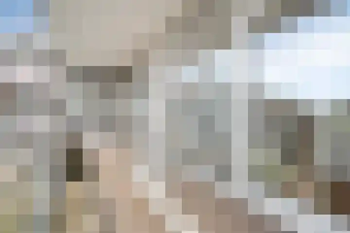 Henry Moorepassage 200 Capelle aan den IJssel thumbnail 6