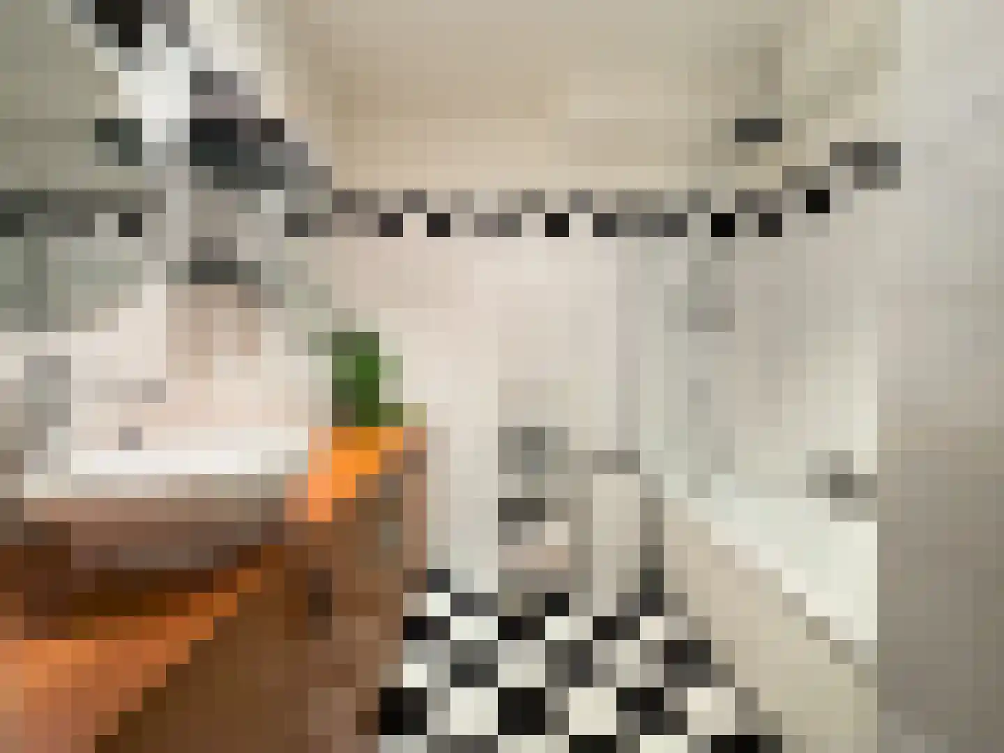 Henry Moorepassage 202 Capelle aan den IJssel thumbnail 17
