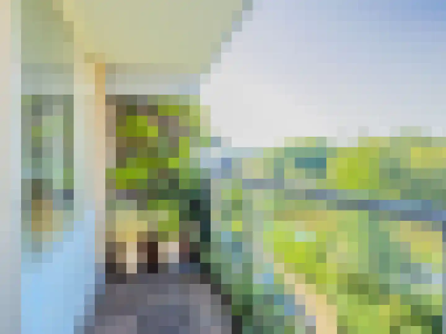 Henry Moorepassage 202 Capelle aan den IJssel thumbnail 5