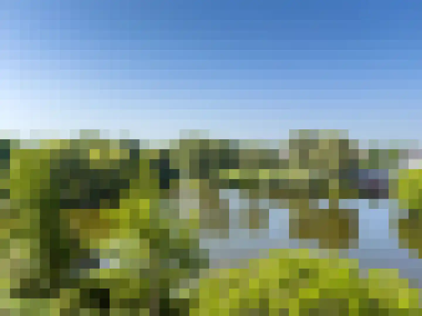 Henry Moorepassage 202 Capelle aan den IJssel thumbnail 6