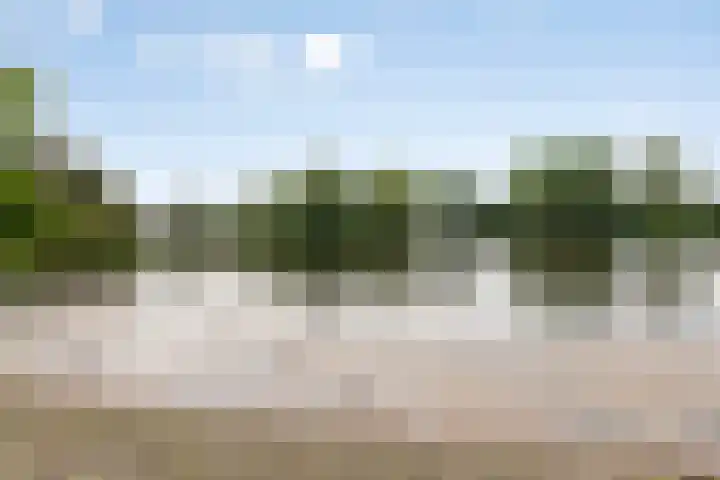 Henry Moorepassage 210 Capelle aan den IJssel thumbnail 25