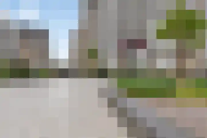 Henry Moorepassage 210 Capelle aan den IJssel thumbnail 28