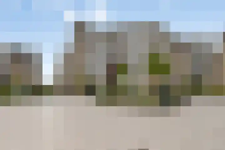 Henry Moorepassage 210 Capelle aan den IJssel thumbnail 30