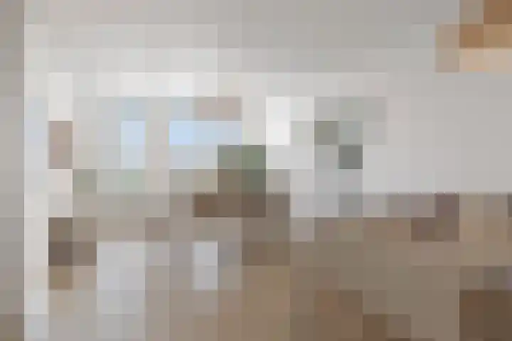 Henry Moorepassage 210 Capelle aan den IJssel thumbnail 4
