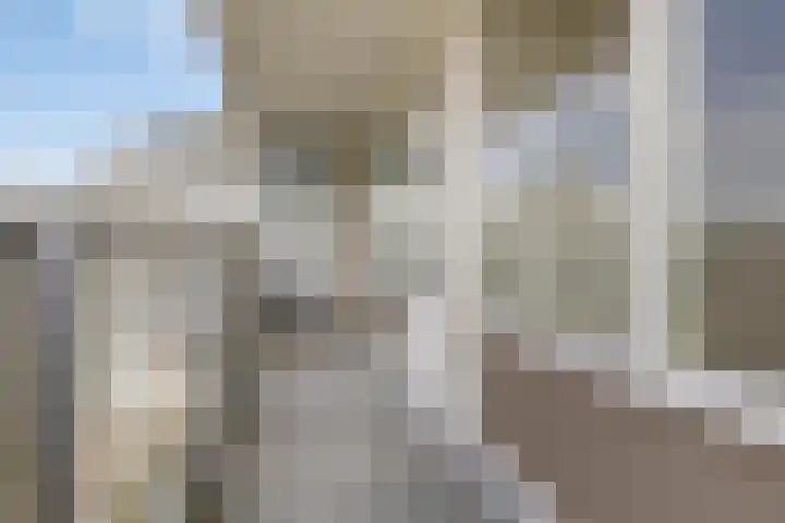 Henry Moorepassage 210 Capelle aan den IJssel thumbnail 5