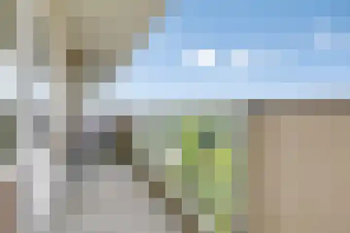 Henry Moorepassage 210 Capelle aan den IJssel thumbnail 6
