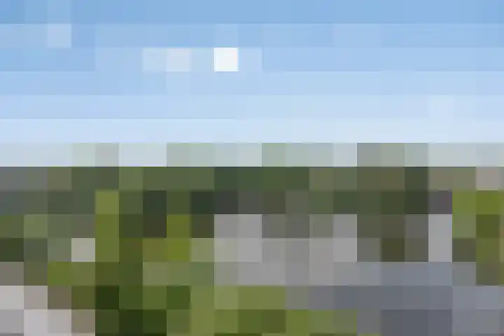 Henry Moorepassage 210 Capelle aan den IJssel thumbnail 7