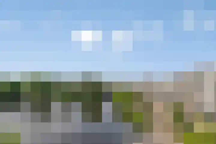 Henry Moorepassage 210 Capelle aan den IJssel thumbnail 8