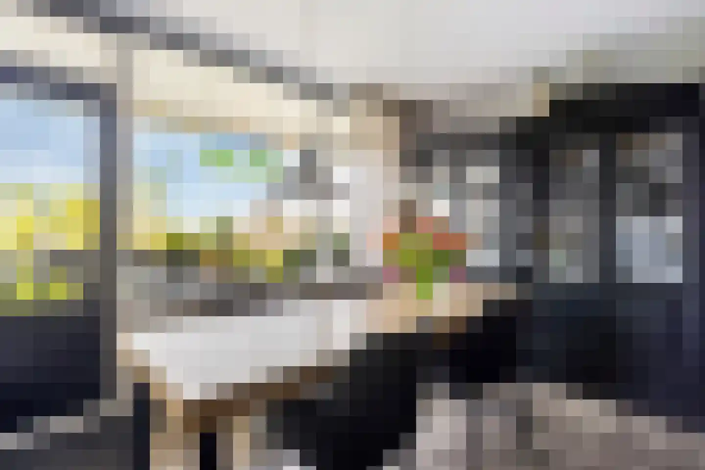Henry Moorepassage 232 Capelle aan den IJssel thumbnail 22