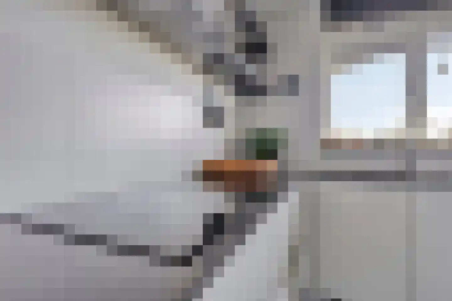 Henry Moorepassage 232 Capelle aan den IJssel thumbnail 24