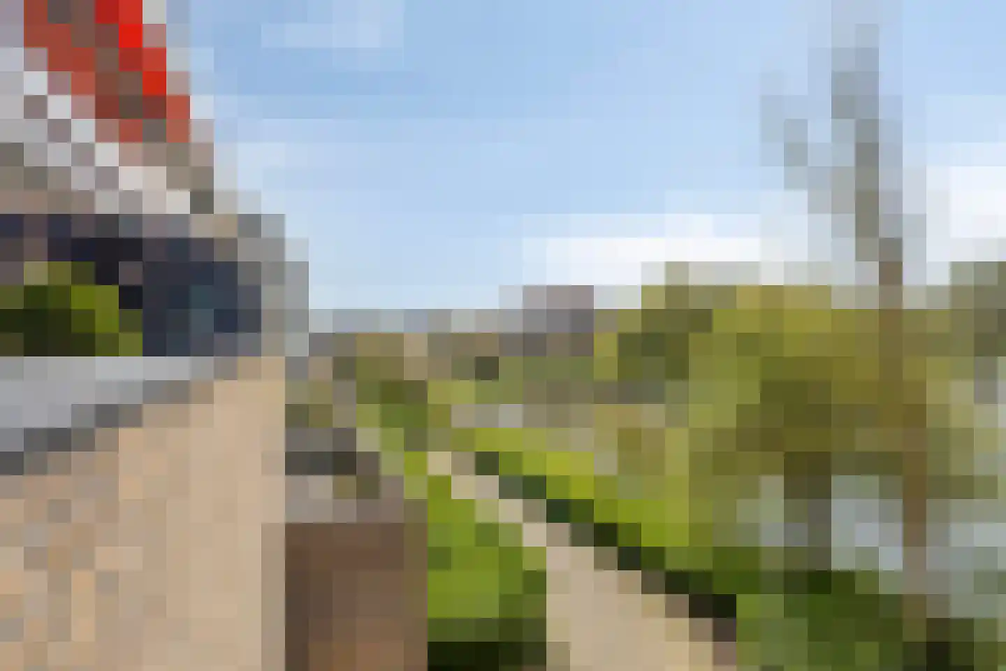 Henry Moorepassage 232 Capelle aan den IJssel thumbnail 38