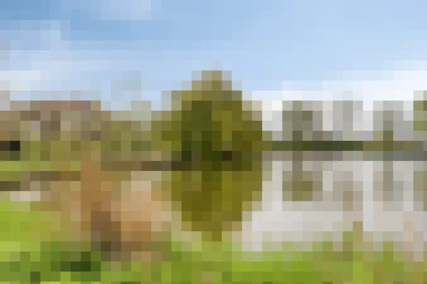 Henry Moorepassage 232 Capelle aan den IJssel thumbnail 42