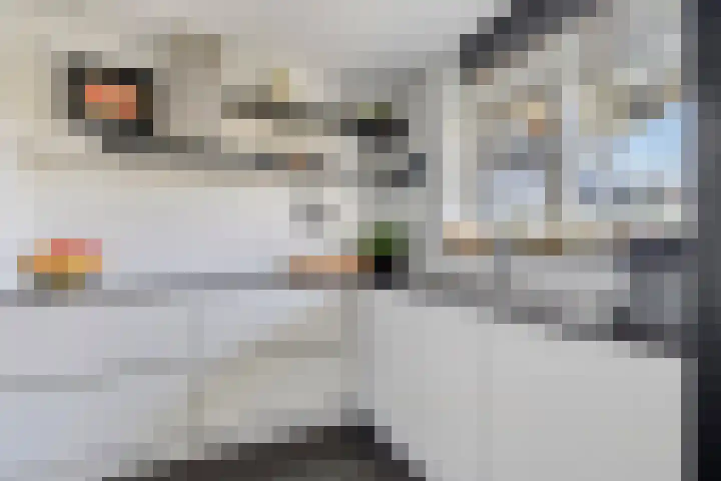 Henry Moorepassage 232 Capelle aan den IJssel thumbnail 6