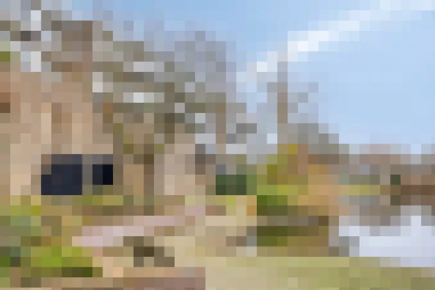 Henry Moorepassage 278 Capelle aan den IJssel thumbnail 30