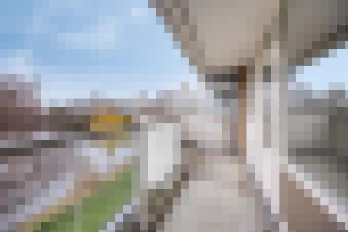 Henry Moorepassage 278 Capelle aan den IJssel thumbnail 6