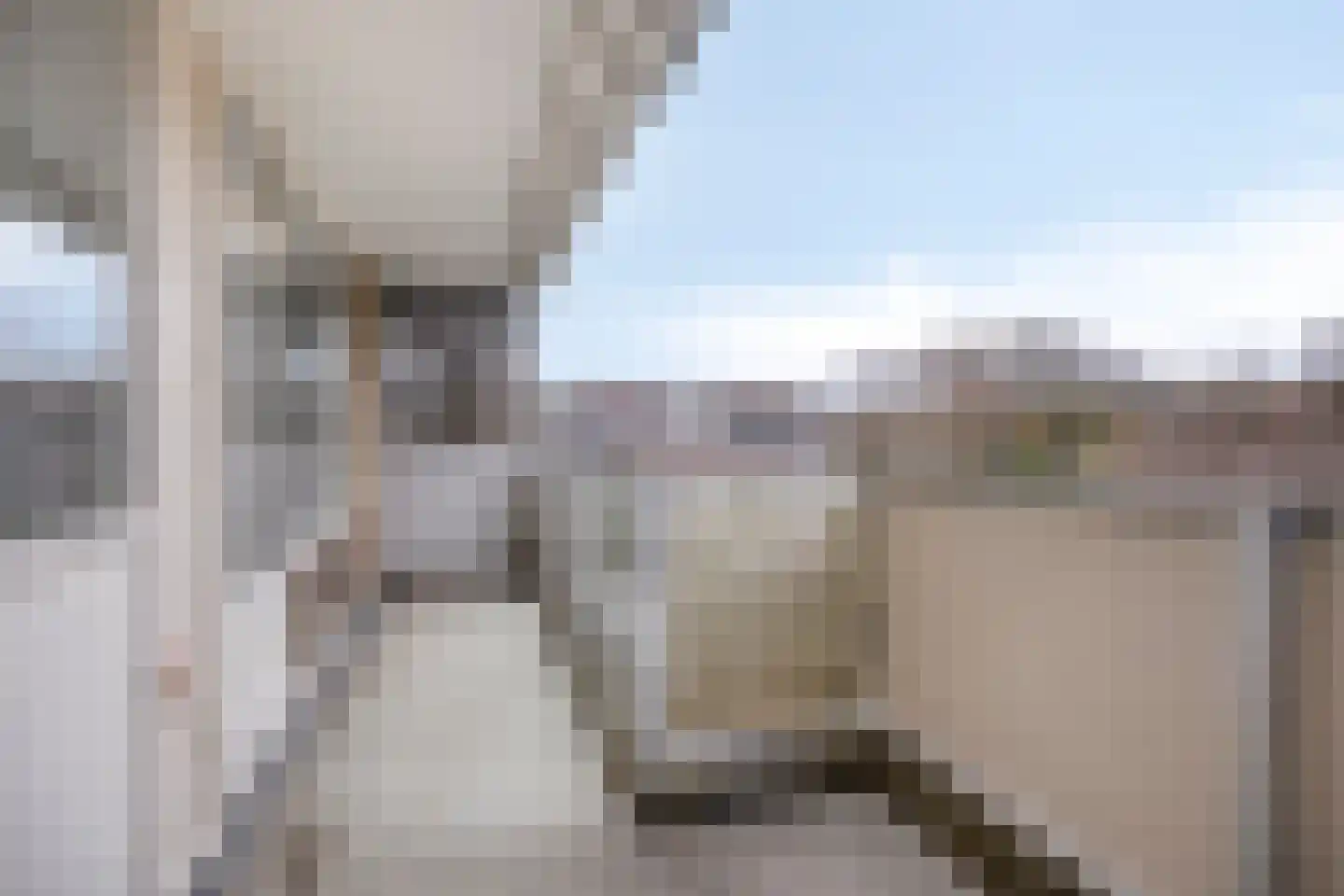 Henry Moorepassage 278 Capelle aan den IJssel thumbnail 7