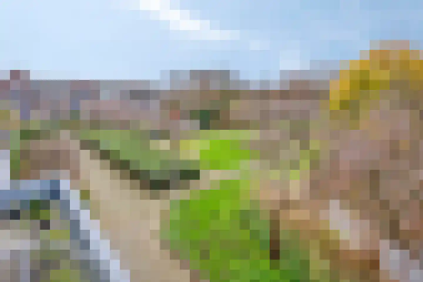 Henry Moorepassage 278 Capelle aan den IJssel thumbnail 9