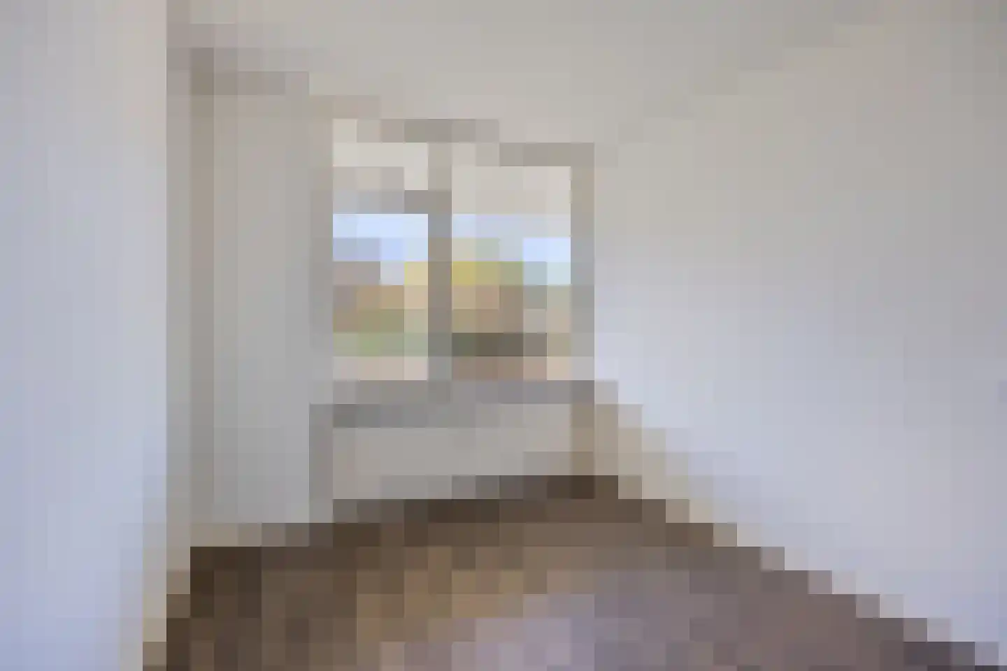 Henry Moorepassage 306 Capelle aan den IJssel thumbnail 13