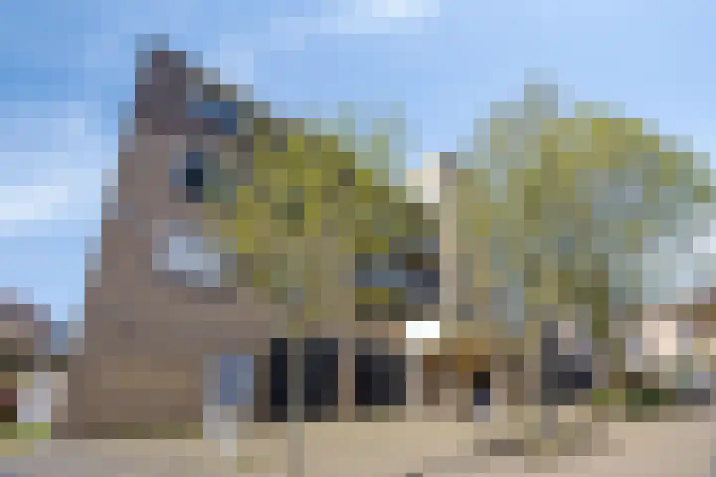 Henry Moorepassage 306 Capelle aan den IJssel thumbnail 29