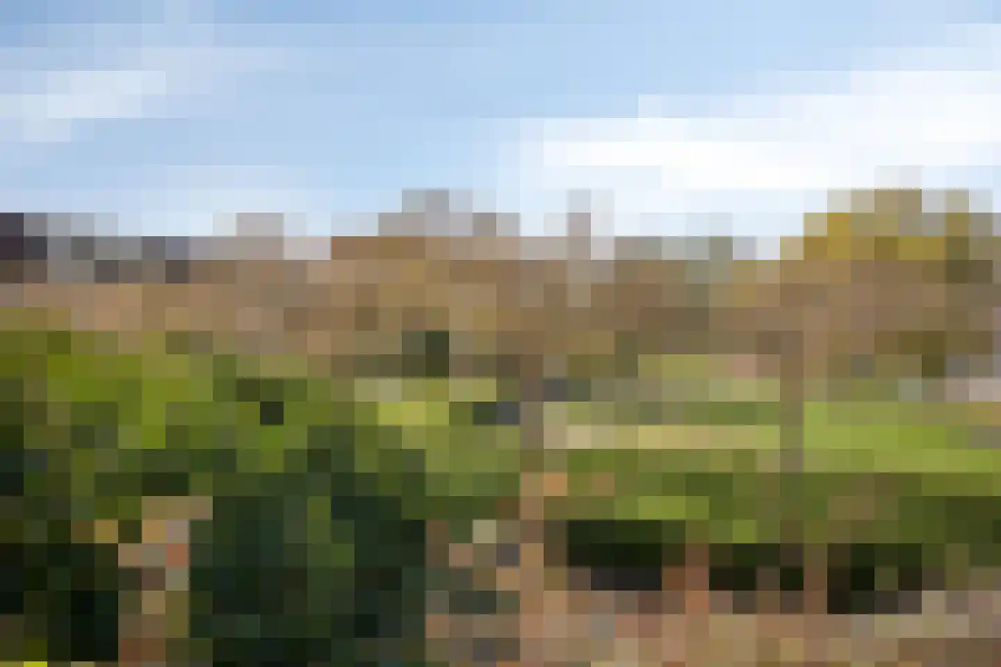 Henry Moorepassage 306 Capelle aan den IJssel thumbnail 7