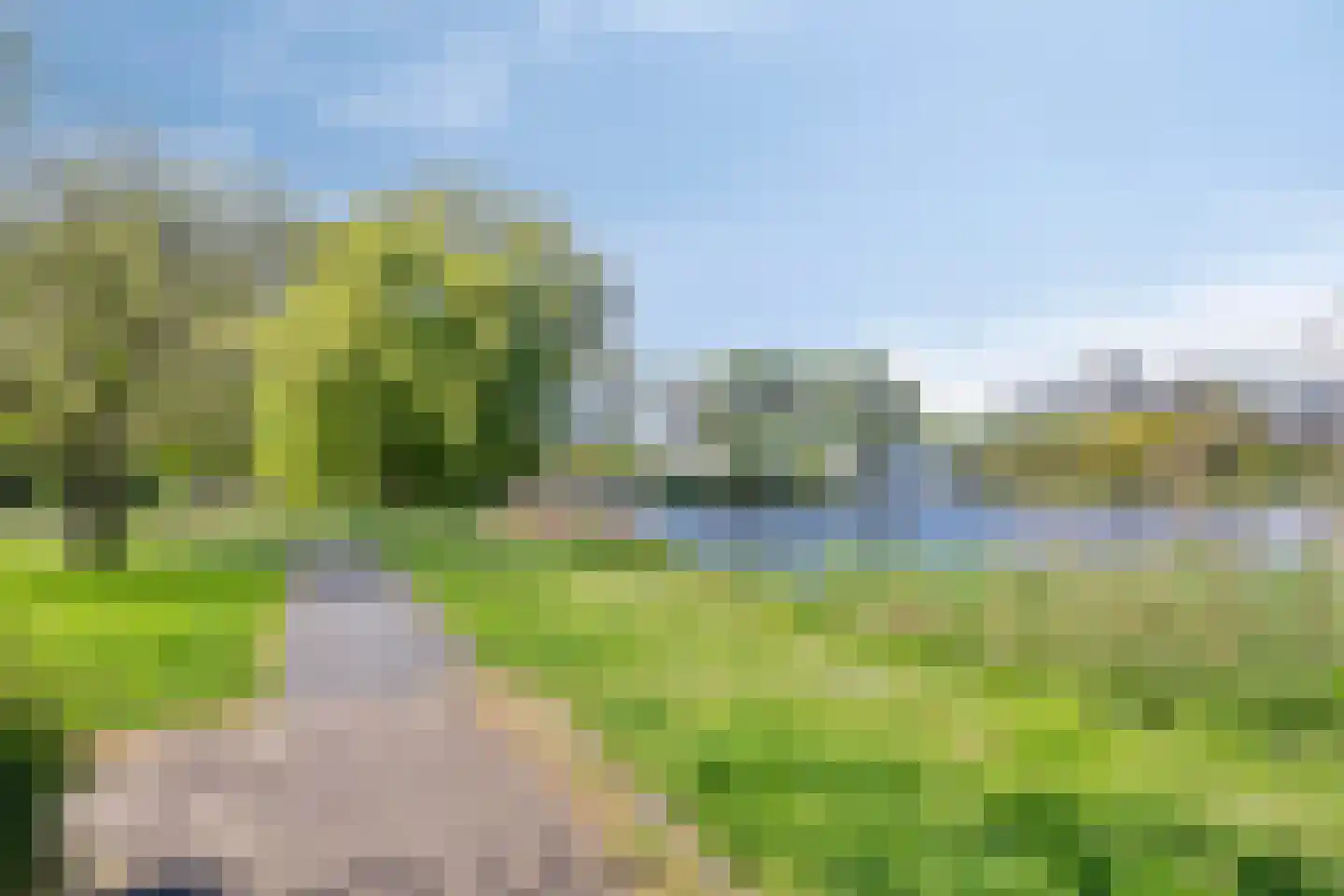 Henry Moorepassage 326 Capelle aan den IJssel thumbnail 34