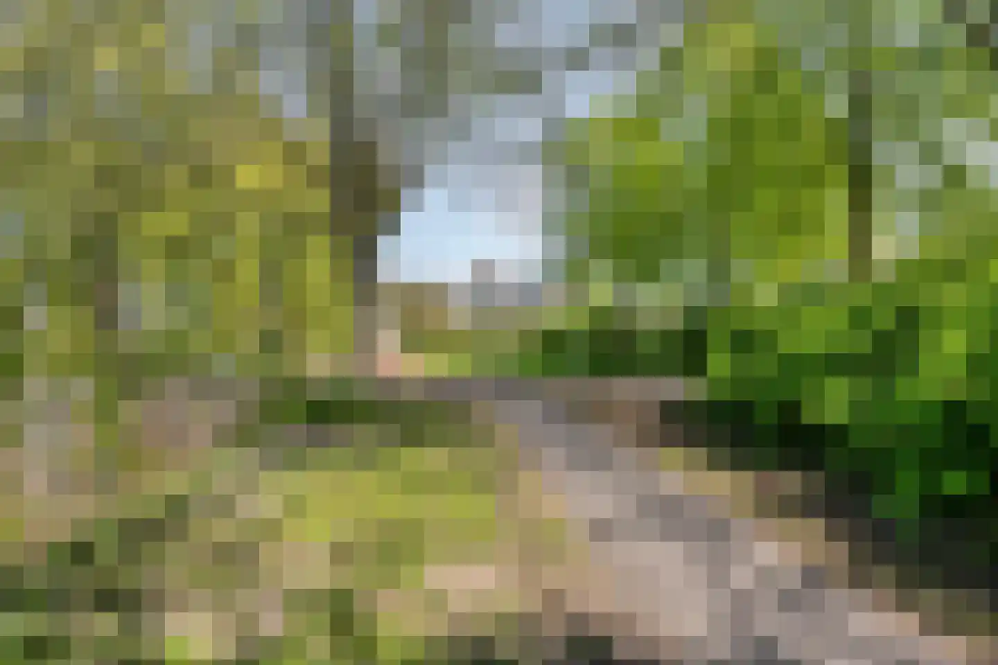 Henry Moorepassage 326 Capelle aan den IJssel thumbnail 36