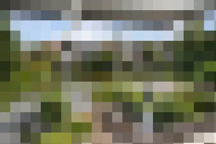 Henry Moorepassage 41 Capelle aan den IJssel thumbnail 11