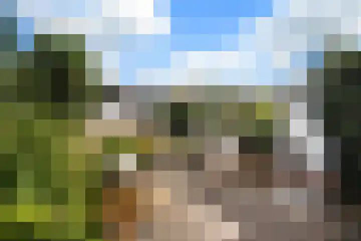 Henry Moorepassage 41 Capelle aan den IJssel thumbnail 20