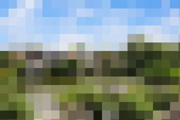 Henry Moorepassage 41 Capelle aan den IJssel thumbnail 23