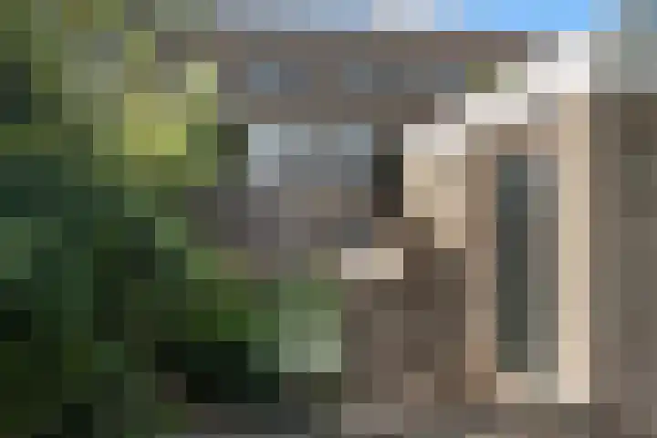 Henry Moorepassage 41 Capelle aan den IJssel thumbnail 24