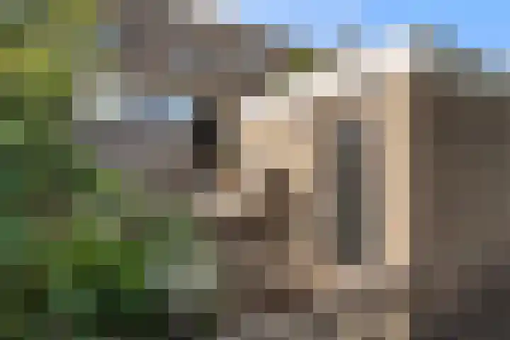 Henry Moorepassage 41 Capelle aan den IJssel thumbnail 25