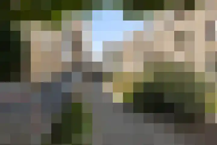 Henry Moorepassage 41 Capelle aan den IJssel thumbnail 29
