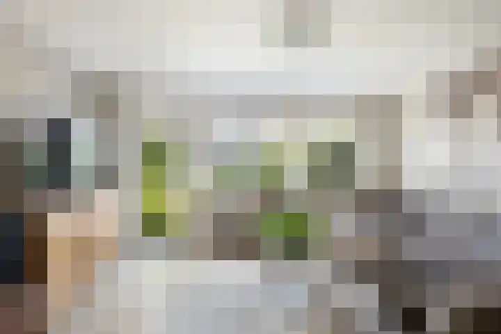 Henry Moorepassage 41 Capelle aan den IJssel thumbnail 4