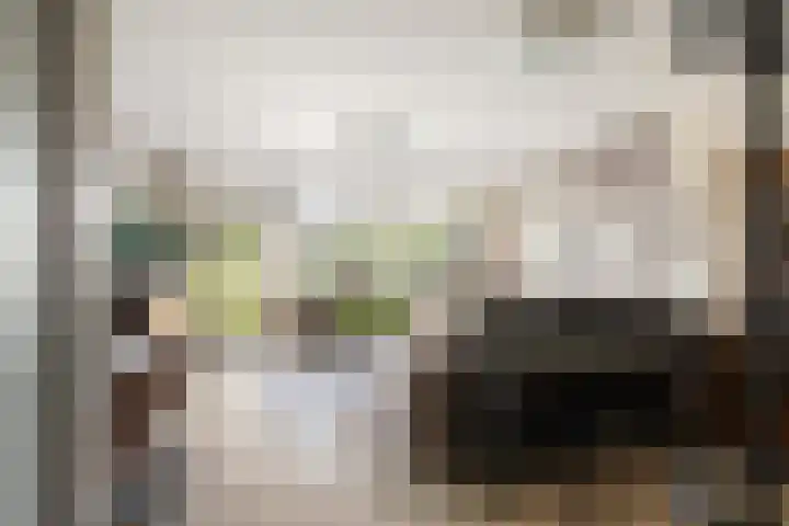 Henry Moorepassage 41 Capelle aan den IJssel thumbnail 6