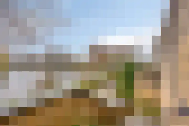 Henry Moorepassage 46 Capelle aan den IJssel thumbnail 17