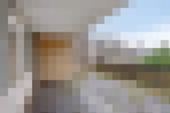 Henry Moorepassage 46 Capelle aan den IJssel thumbnail 24