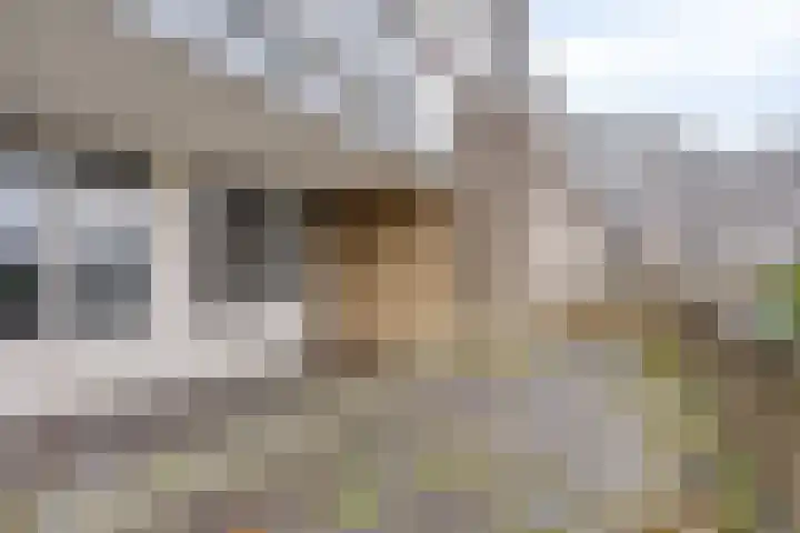 Henry Moorepassage 46 Capelle aan den IJssel thumbnail 25