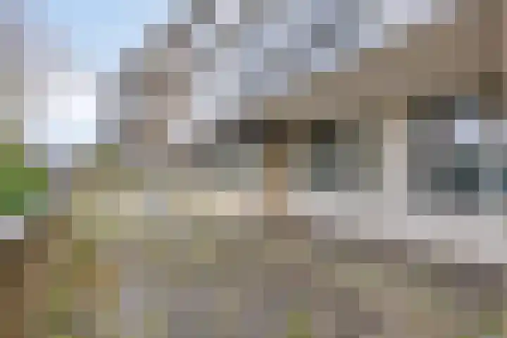 Henry Moorepassage 46 Capelle aan den IJssel thumbnail 26