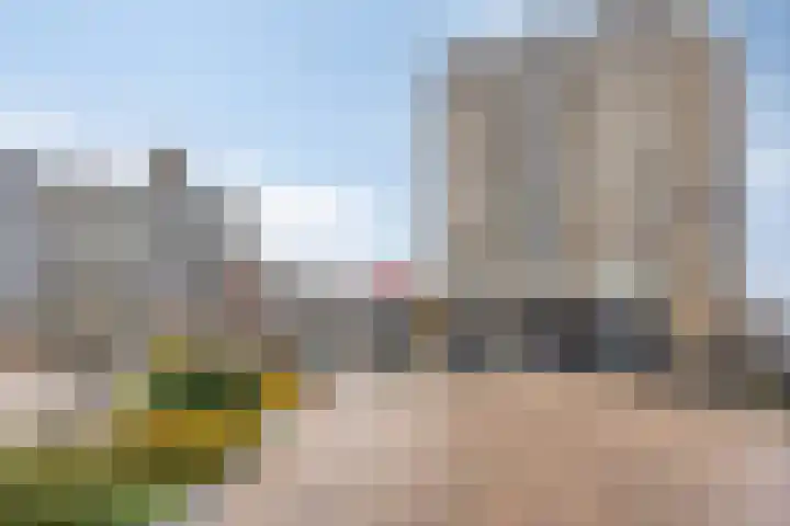 Henry Moorepassage 46 Capelle aan den IJssel thumbnail 30