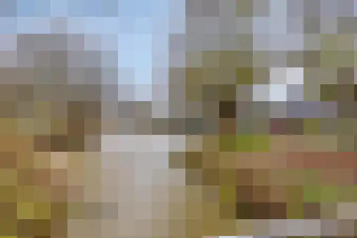 Henry Moorepassage 46 Capelle aan den IJssel thumbnail 31