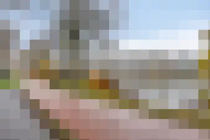 Henry Moorepassage 46 Capelle aan den IJssel thumbnail 33