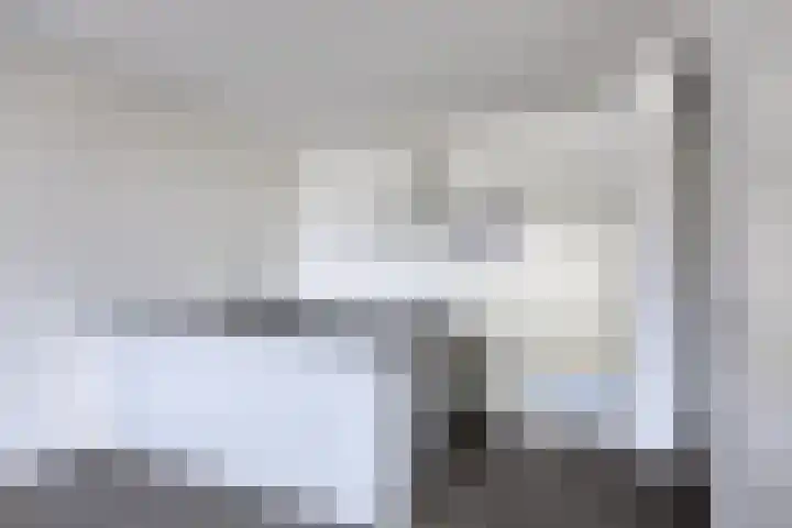 Henry Moorepassage 46 Capelle aan den IJssel thumbnail 7