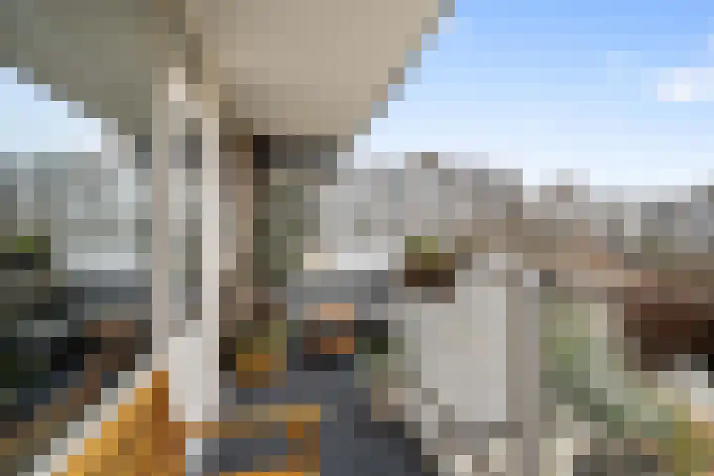 Henry Moorepassage 50 Capelle aan den IJssel thumbnail 9