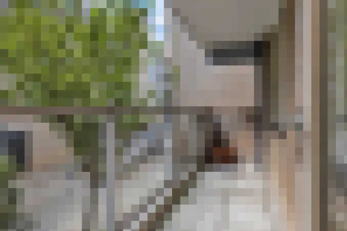 Henry Moorepassage 61 Capelle aan den IJssel thumbnail 36