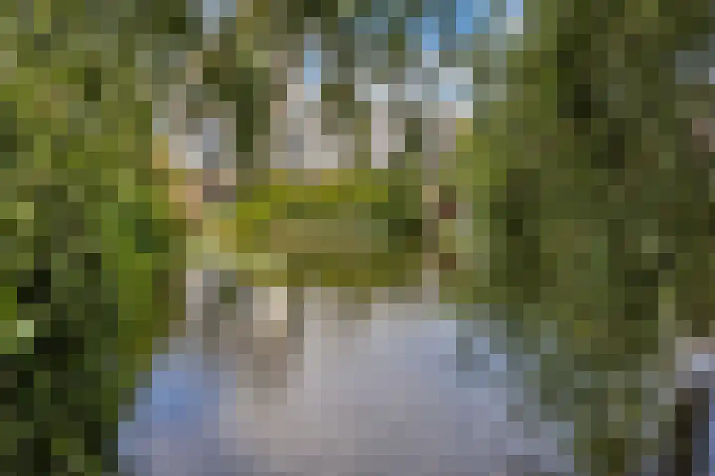 Henry Moorepassage 61 Capelle aan den IJssel thumbnail 39