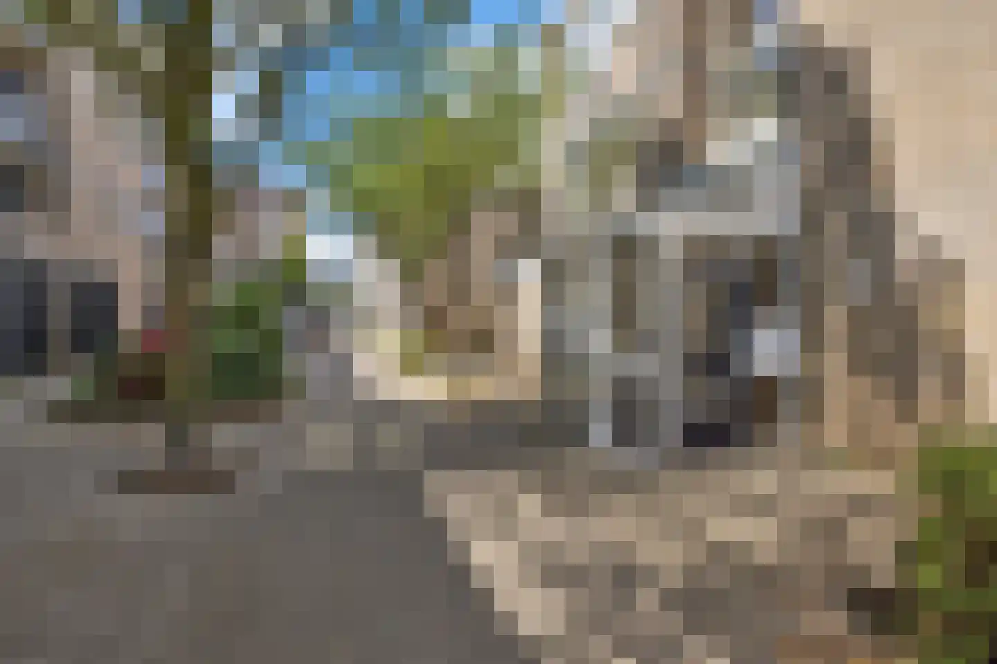Henry Moorepassage 61 Capelle aan den IJssel thumbnail 7