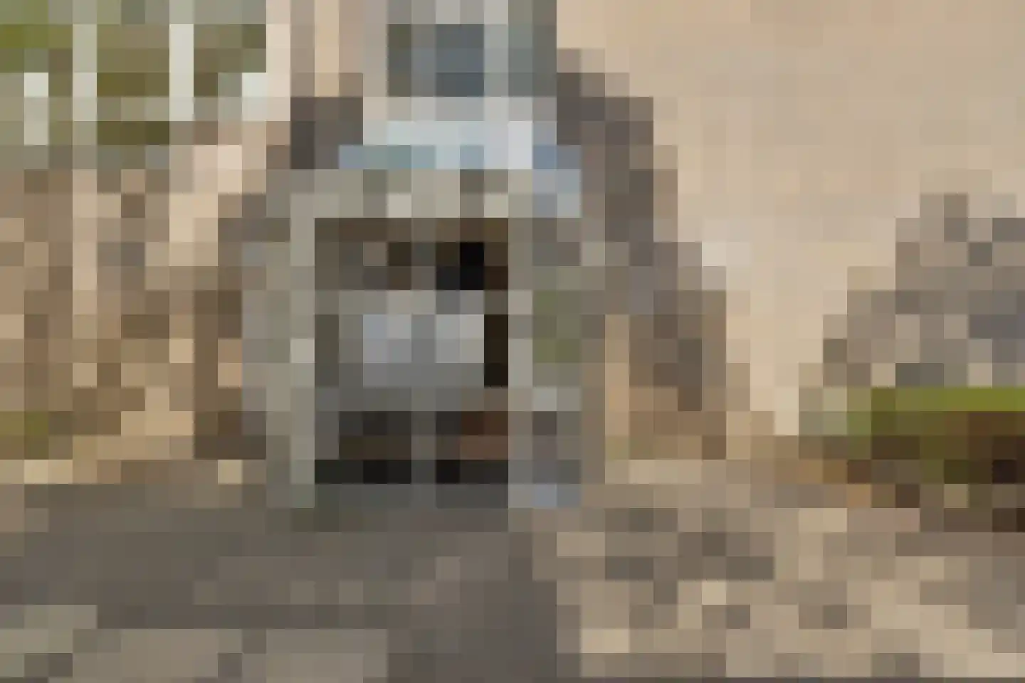 Henry Moorepassage 61 Capelle aan den IJssel thumbnail 8