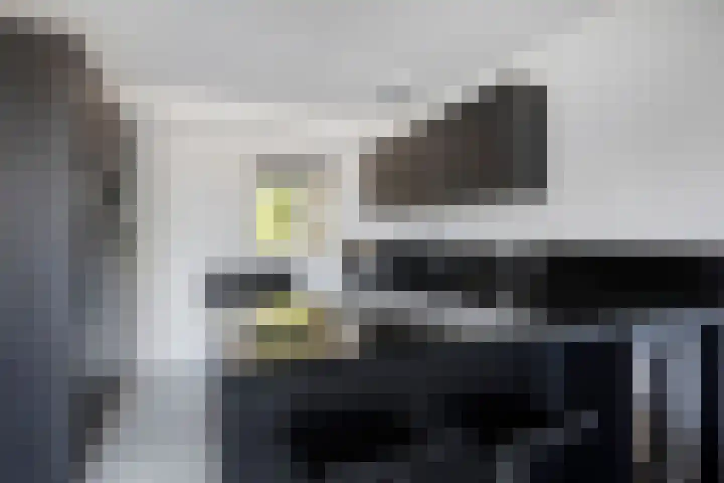 Henry Moorepassage 71 Capelle aan den IJssel thumbnail 11